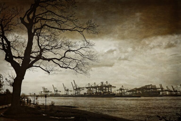 Discover The Convenience Of Kleintransport Hamburg